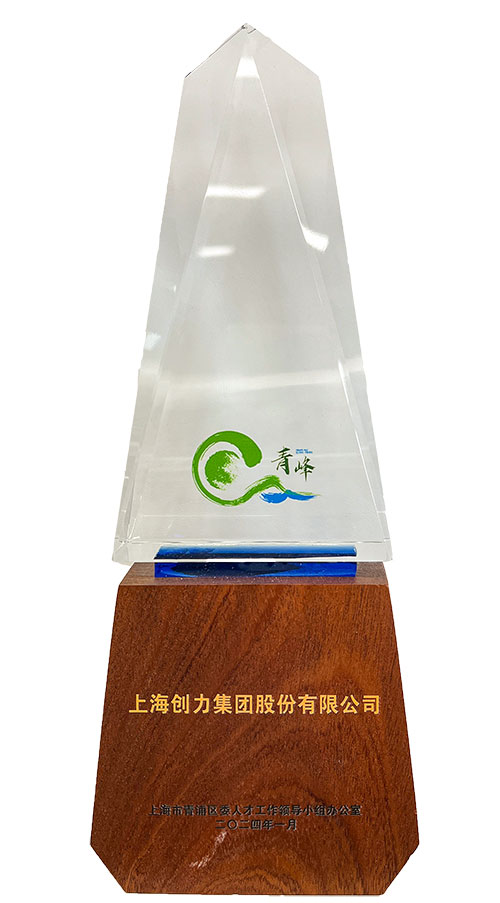 喜報(bào)！上海創(chuàng)力集團(tuán)榮獲2023年度青浦區(qū)百?gòu)?qiáng)優(yōu)秀企業(yè)等三項(xiàng)大獎(jiǎng)(圖3)